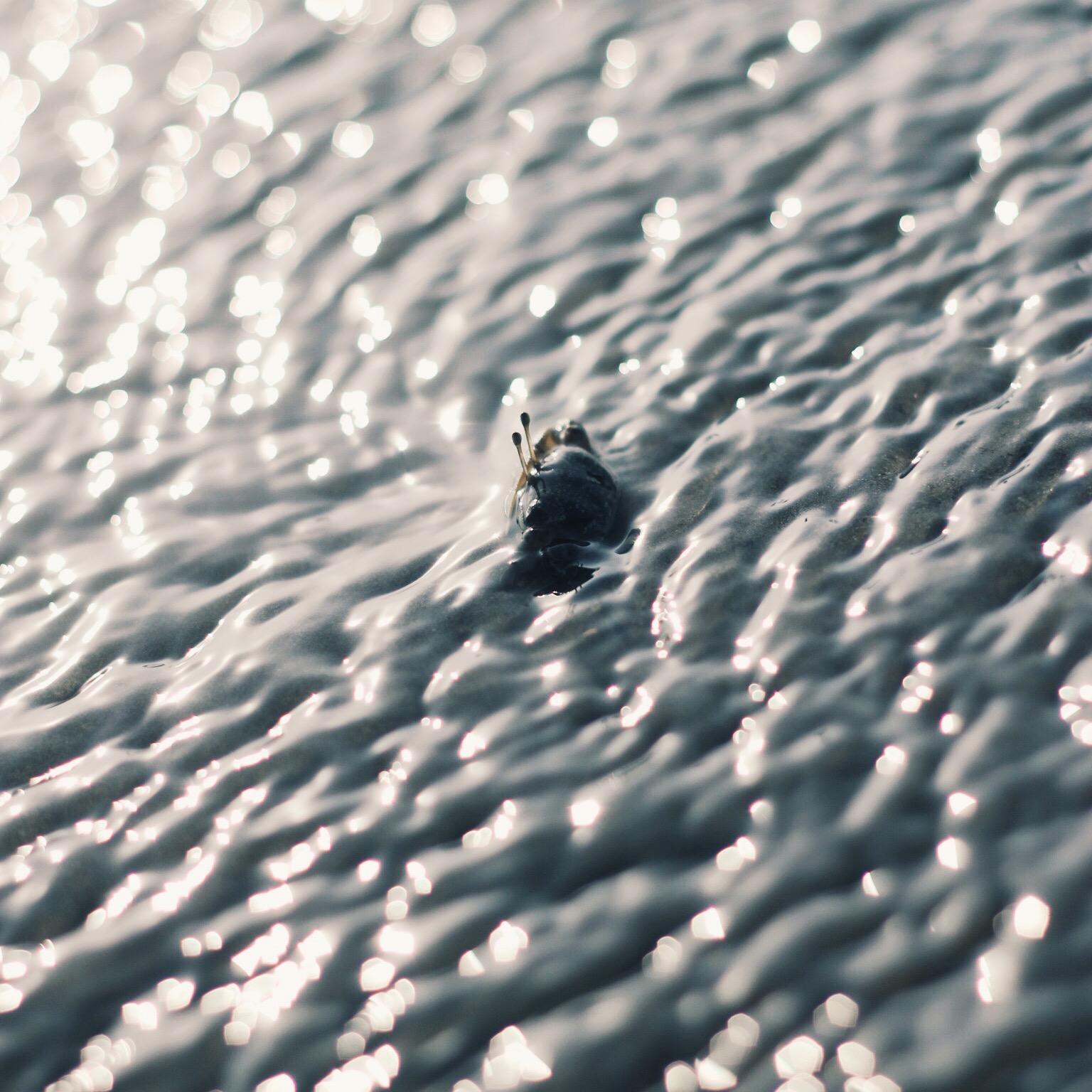 Processed with VSCOcam with g3 preset