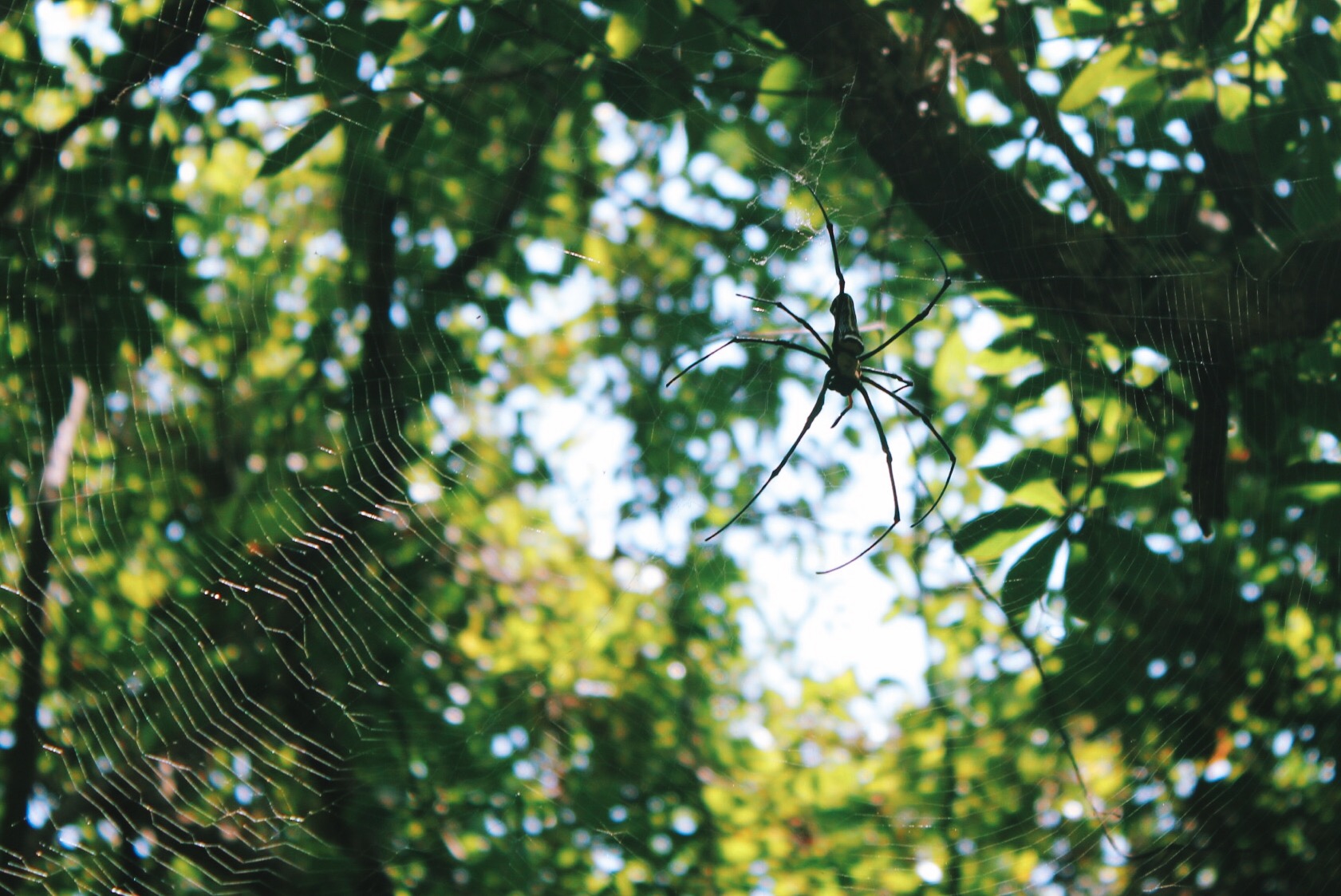 Processed with VSCOcam with k3 preset