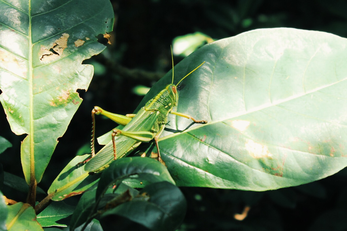 Processed with VSCOcam with g3 preset