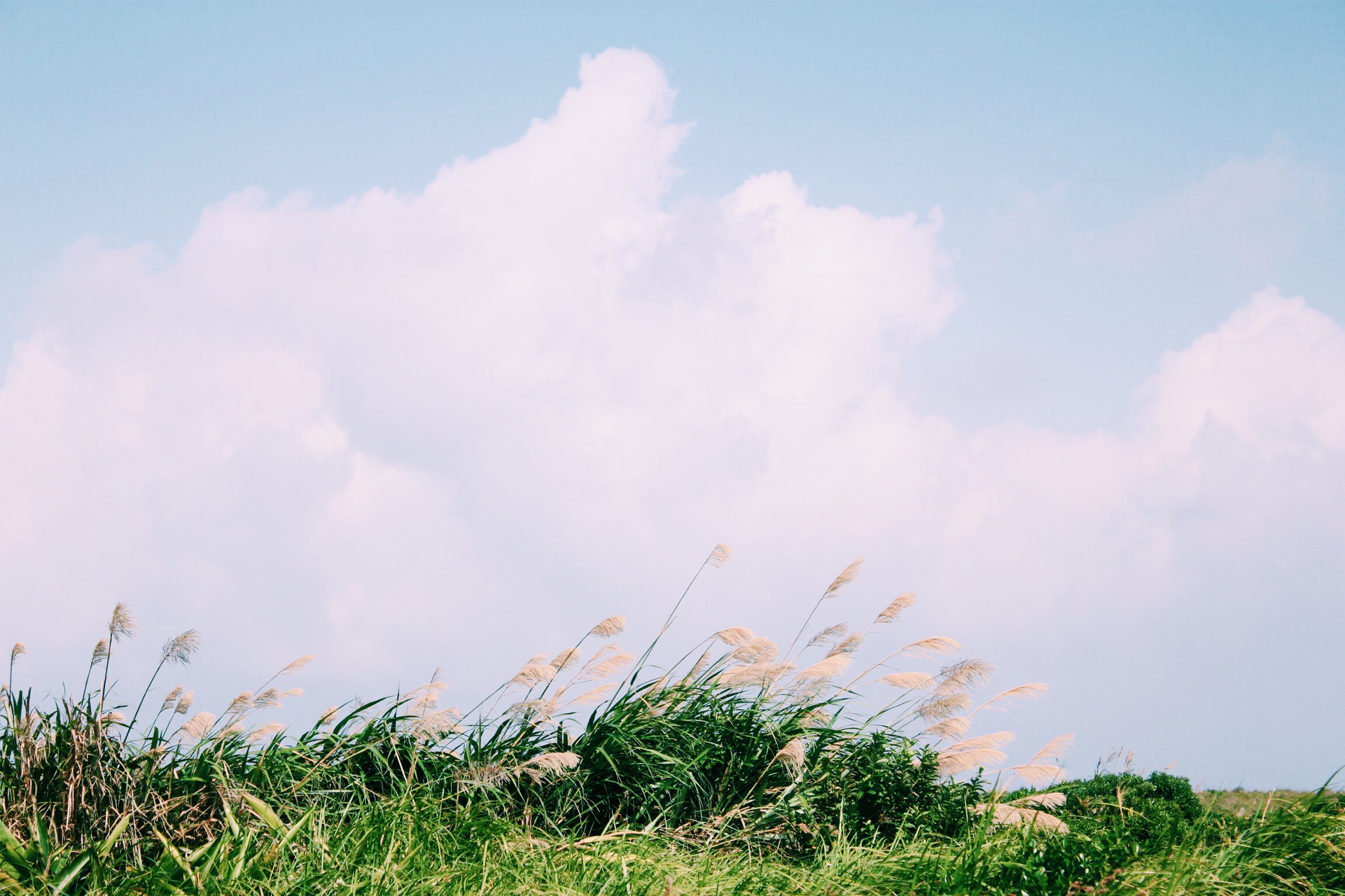 Processed with VSCOcam with c1 preset