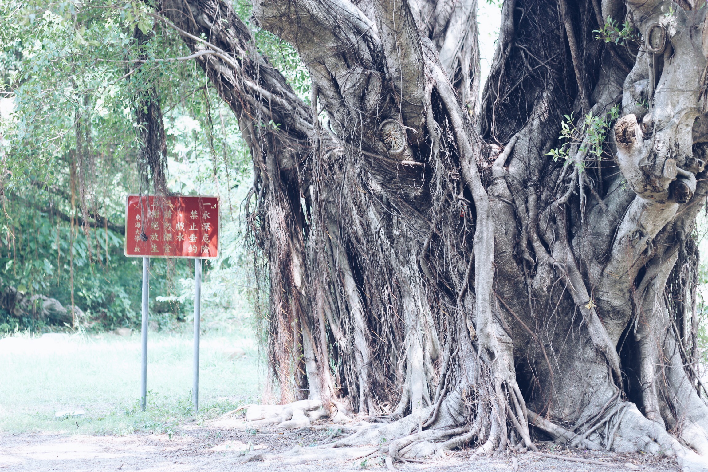 Processed with VSCOcam with a5 preset