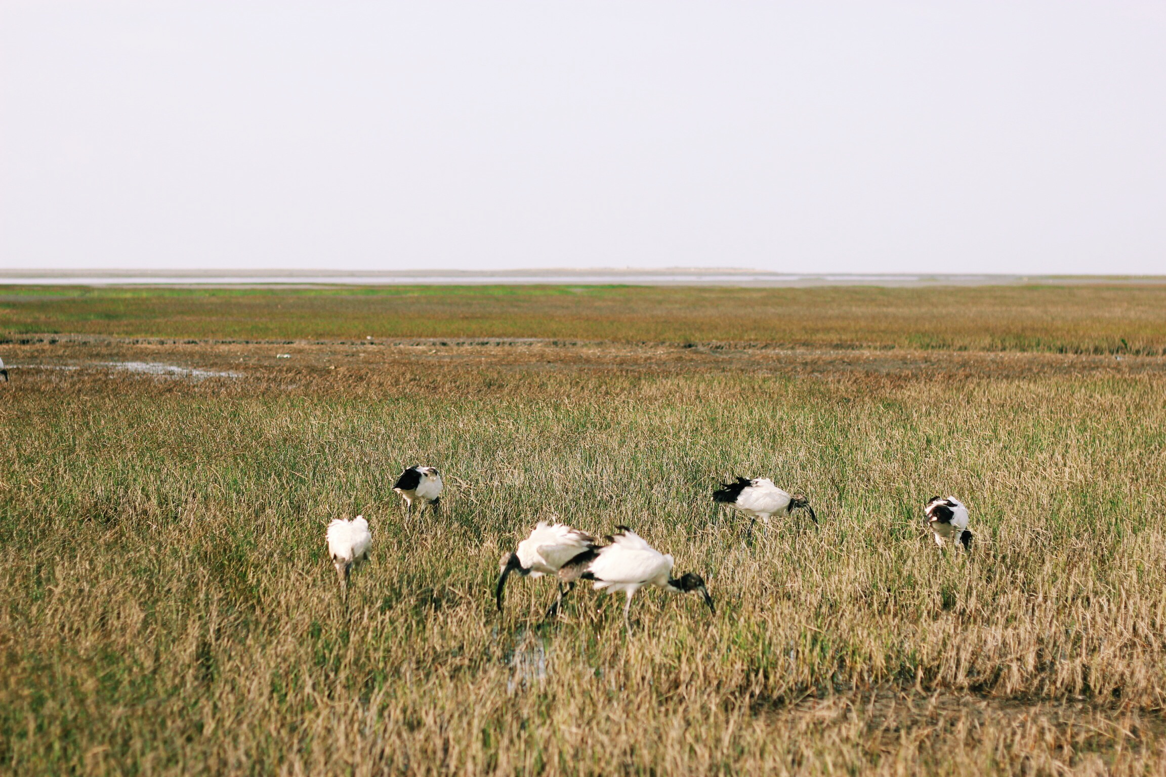 Processed with VSCOcam with k1 preset