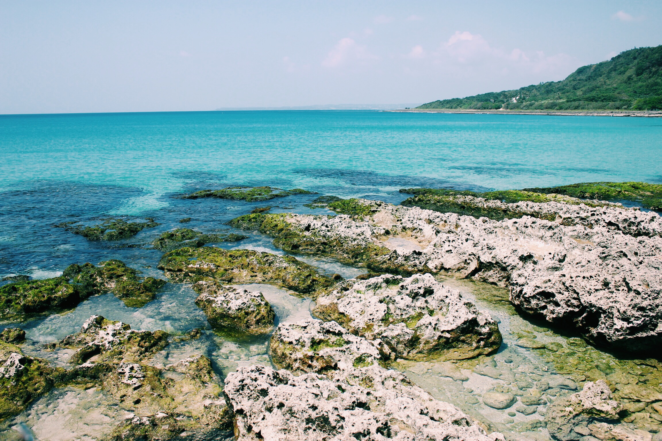 Processed with VSCOcam with c1 preset