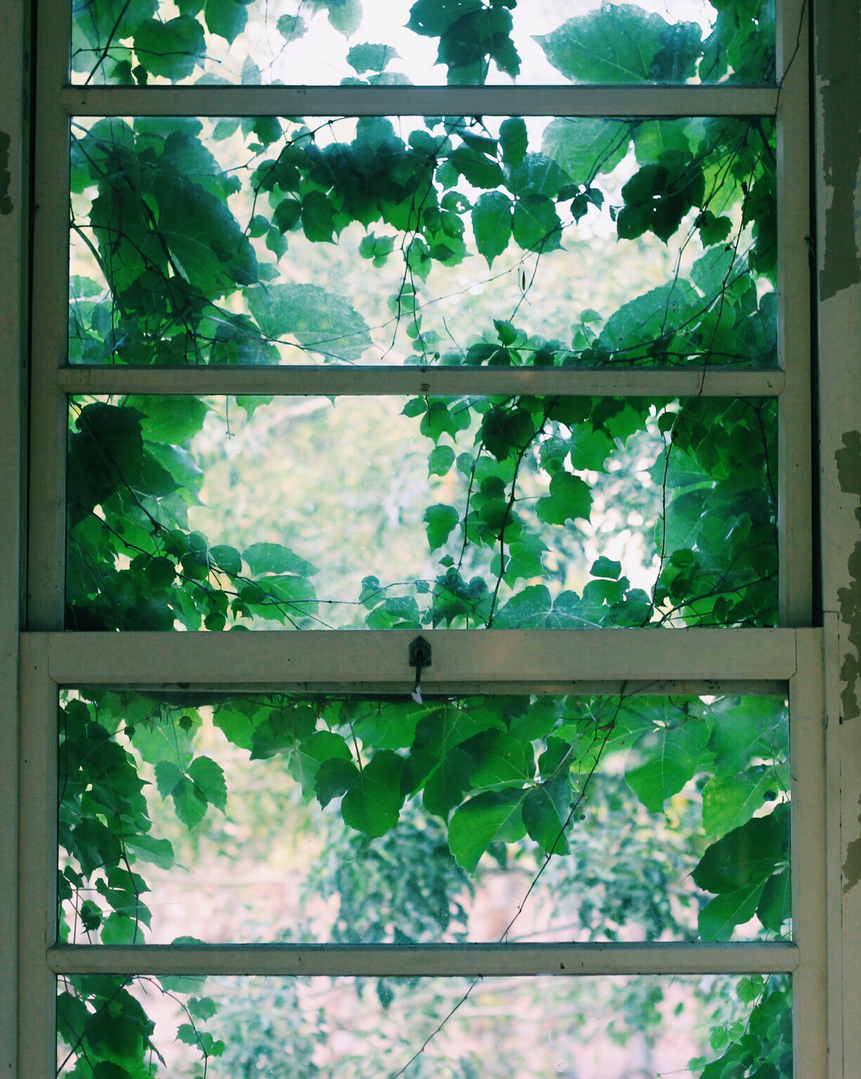 Processed with VSCOcam with c1 preset