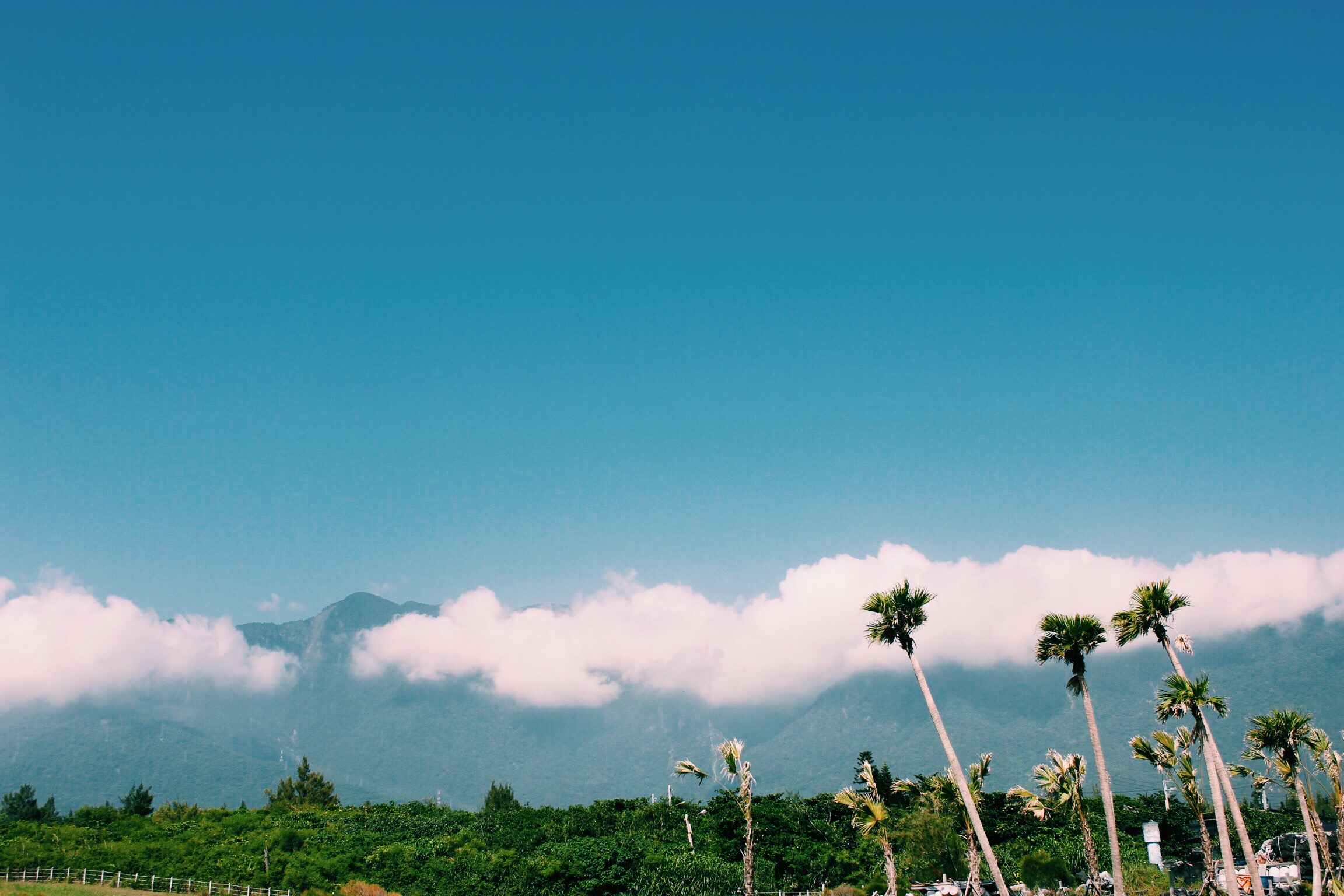 Processed with VSCOcam with c1 preset