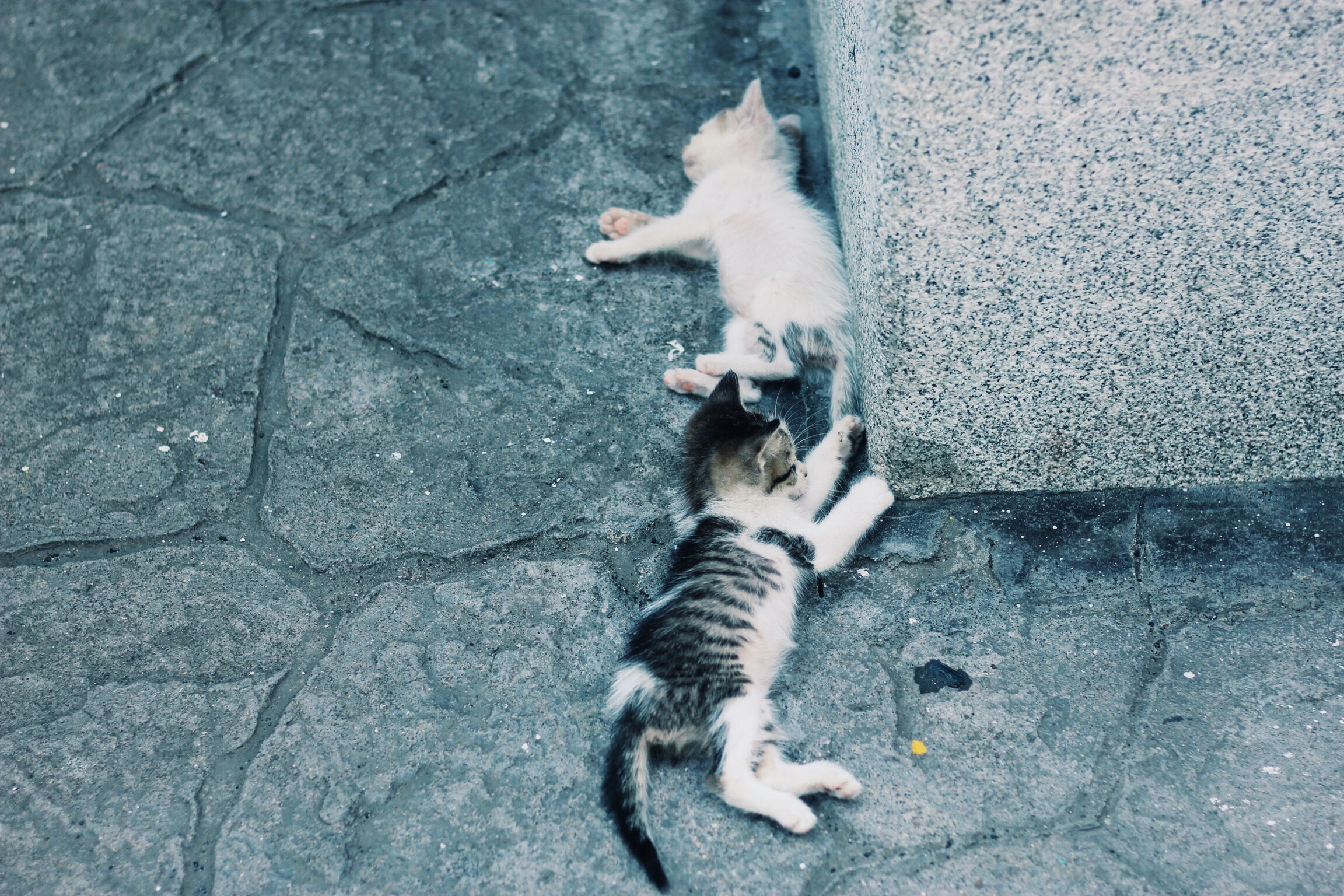 Processed with VSCOcam with g3 preset