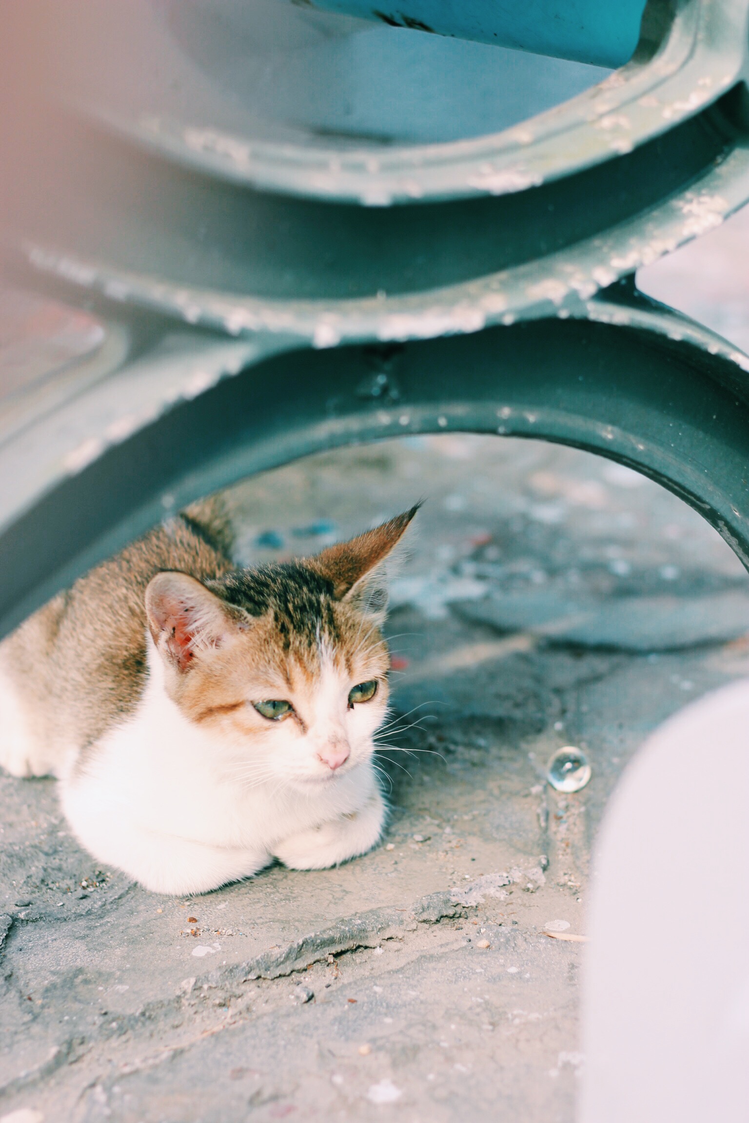 Processed with VSCOcam with c1 preset