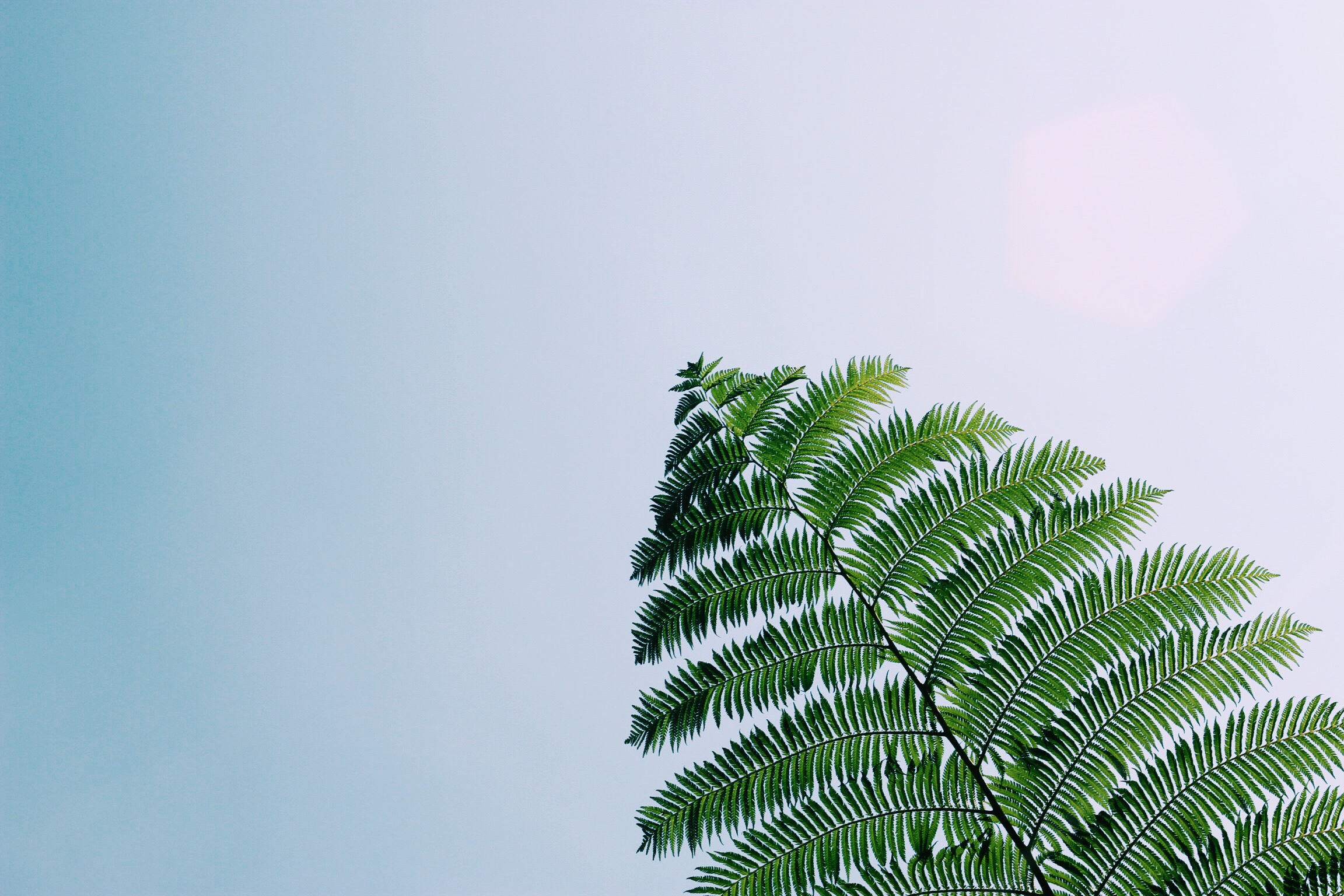 Processed with VSCOcam with c1 preset