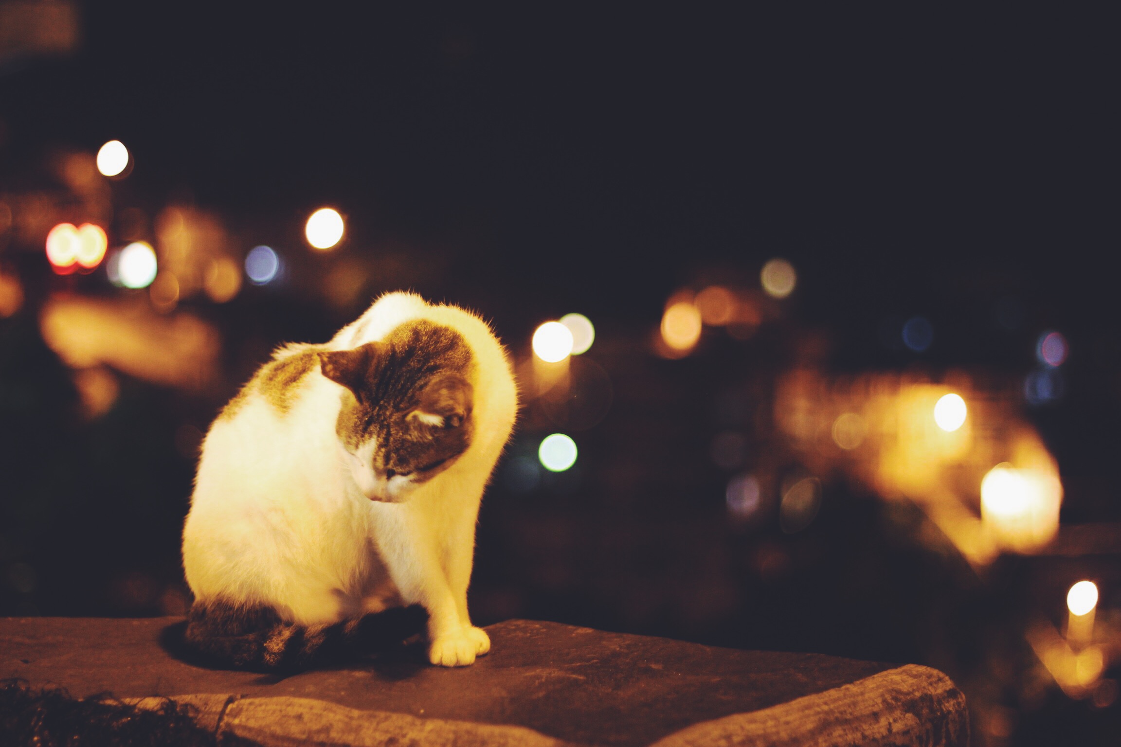 Processed with VSCOcam with f2 preset