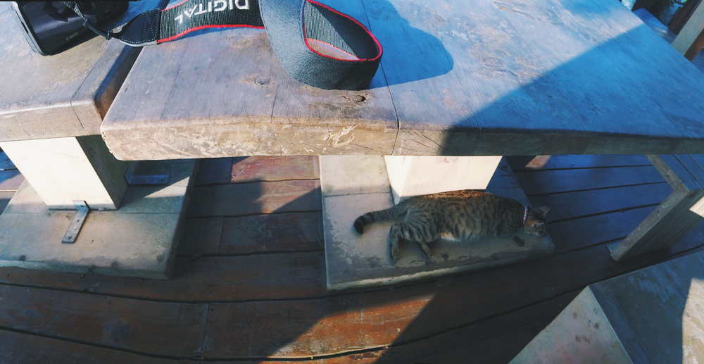 Processed with VSCOcam with f1 preset